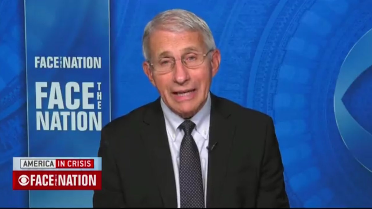 Dr Fauci says ‘too soon to tell’ if Christmas can go ahead as normal